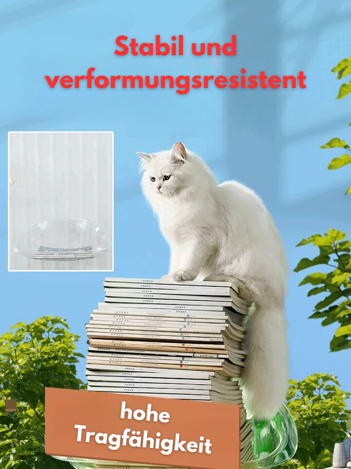 Window Catnap – Das Original